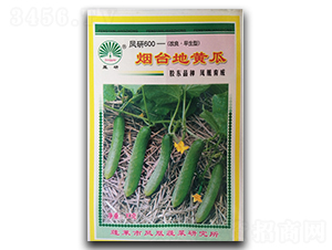 ���_���S��-�S�ϷN��-�P�˷N�I