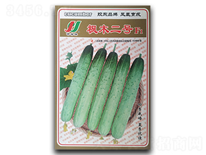 ��ľ��̖F1-�S�ϷN��-�P�˷N�I