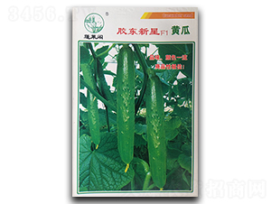 �z�|����F1-�S�ϷN��-�P�˷N�I