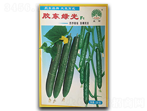 �z�|�G��F1-�S�ϷN��-�P�˷N�I