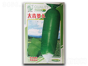 �����}��-�}���N��-�P�˷N�I