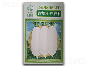 ���С���}��-�}���N��-�P�˷N�I