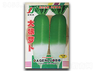 ����}��-�}���N��-�P�˷N�I