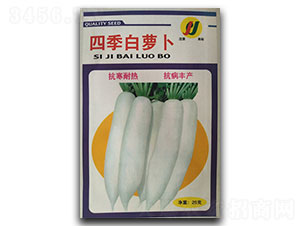 �ļ����}��-�}���N��-�P�˷N�I