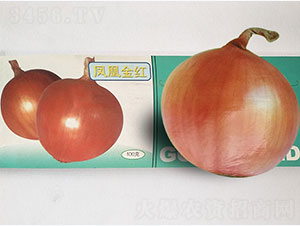 �P�˽�t-���[�N��-�P�˷N�I(y��)