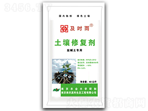 �}�A�����������ޏ̈́�-���r��-���r�߿�