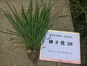 ��9��(y��u)28-ˮ���N��-��һ�N�I(y��)