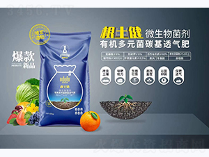 ������΢�������-�Ķ��S