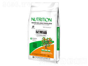 ����ʢ-�������