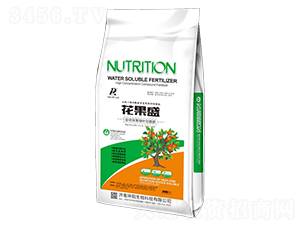 ����ʢ��΢��Ԫ�ط���-�������