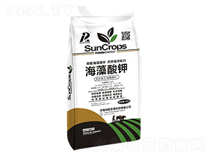 �������20kg-�������