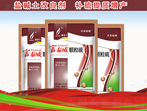 �w����-��̩��-�º��S