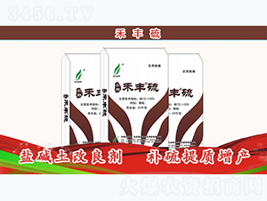 ���S��-�r��-�º��S