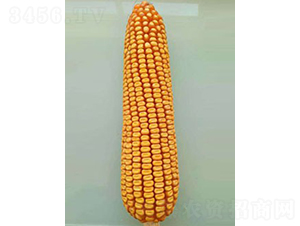 ���18-���׷N��-��̷N�I