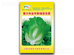 �����ȫ���ͳ�̦����-���˷N��-���P�N�I