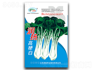 ���P�߹���-��˷N��-���P�N�I