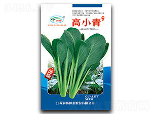 ��С��-��˷N��-���P�N�I