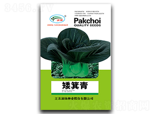 ������-��˷N��-���P�N�I