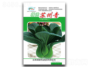 ���x�K����-��˷N��-���P�N�I