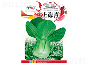 ���P�Ϻ���-��˷N��-���P�N�I