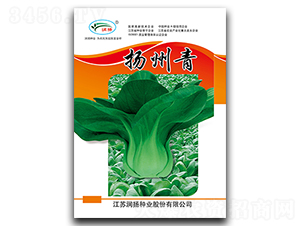 �P����-��˷N��-���P�N�I