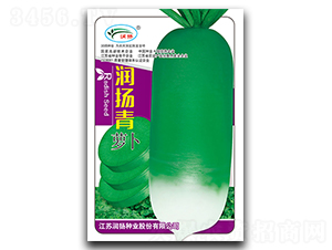 ���P��-�}���N��-���P�N�I(y��)