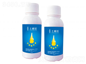 ���r���AҺ-������