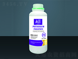 �������-�۠����B