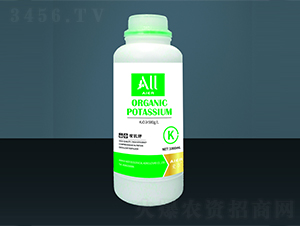 �ЙC�-�۠����B