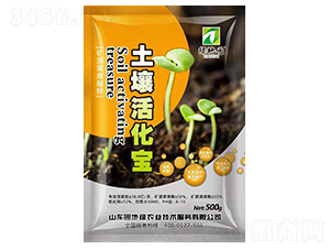 500g�VԴ�S������������-�G�؈@