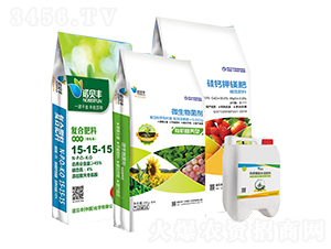 �ײ�C-�Zؐ�S