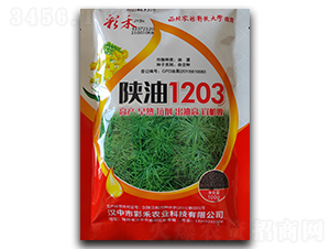 ���1203-�ʺ�-�β��r�I