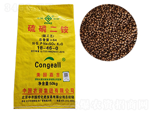 ���׶��@-�Ї��r�Y-�ʠ�Ԫ