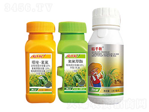 ��ǧ��-���r��