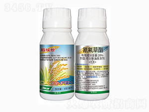 20%�������-���_��-���r��