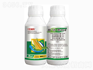 30%煙·硝·莠去津-玉施樂-金爾農化