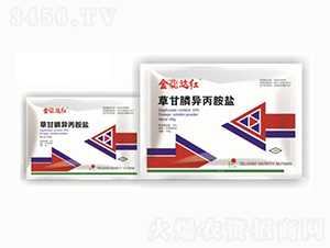 50%�ݸ�좮����@�}-�����_�t-����ꖹ�