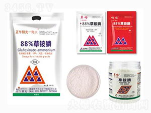 88%���@�-����ꖹ�һ�ڻ�