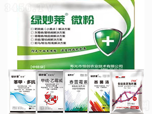 �G���R΢��-���~�߲���Q����-������A