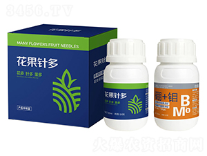 ����ᘶ�-����(l��)��