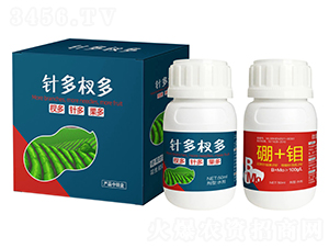 ᘶ�辶�-����(l��)��