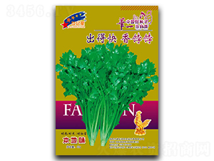 ���ÿ����G�G-��˷N��-�Aһ�N�I