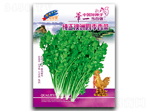 ���������ļ����-��˷N��-�Aһ�N�I