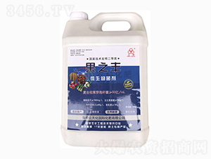 ��֮�S΢�������-�r�ƻ���