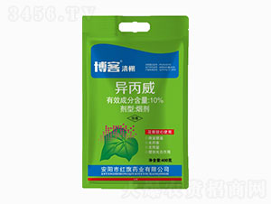 10%������-��������-�t��ˎ�I