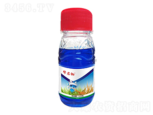 10%�����@��@�}-�;��z��120g��-��Խ����