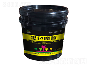 ��ɫħ��-�A���еV