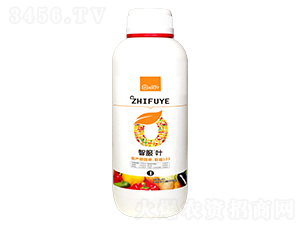 1L�Ƿ��~-ِ����