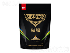 ���׽���-���-�����S