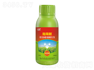 �ؽ����~����؄�-����n-�����S